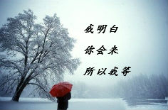 请输入图片描述